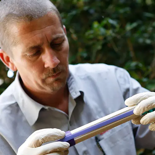 Exterminator inspecting a termite trap - Dixon Pest Services serving Thomasville, GA 